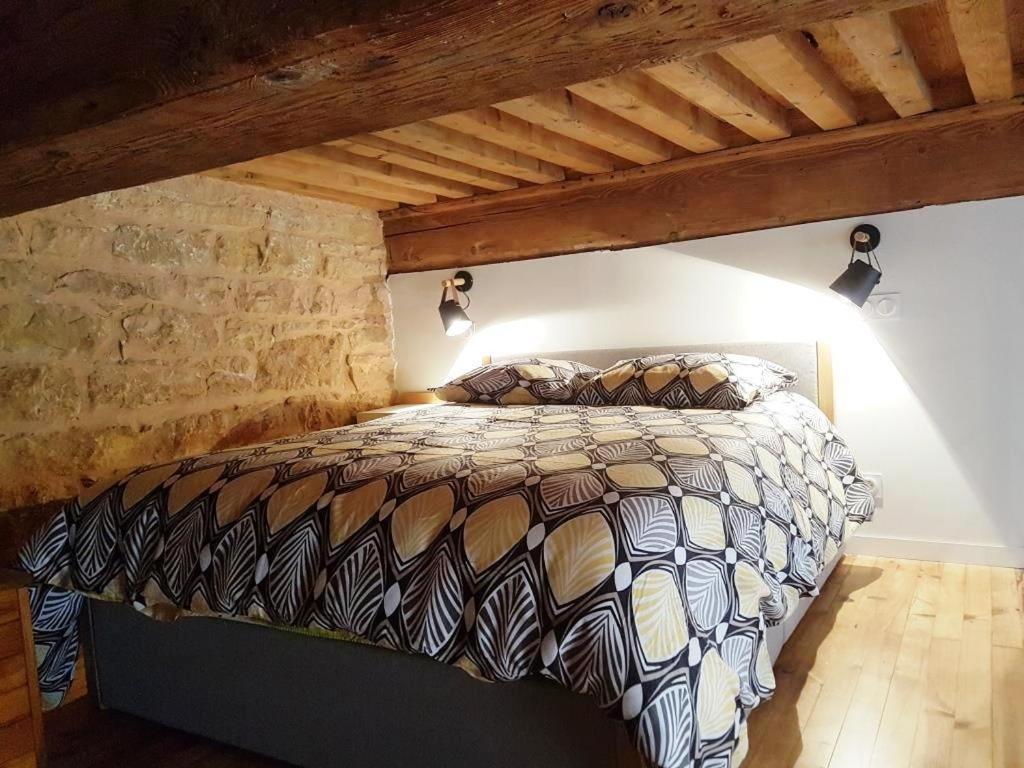Cosy Appartement, Dans Les Pentes De La Croix Rousse Appartement *